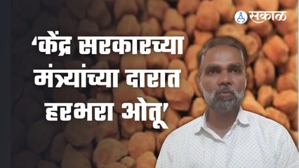 NAFED |केंद्र सरकारनं हरभरा उत्पादकांची छळवणूक तातडीनं थांबवावी- किसान सभा |Sakal  Media