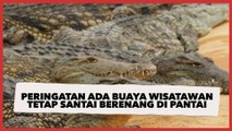 Ada Peringatan soal Bahaya Buaya, Viral Orang-Orang Tetap Santai Berenang di Pantai