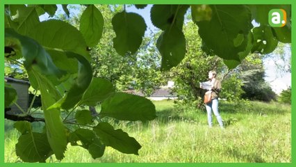 La galère des candidats bâtisseurs le prix de leur maison a pratiquement doublé