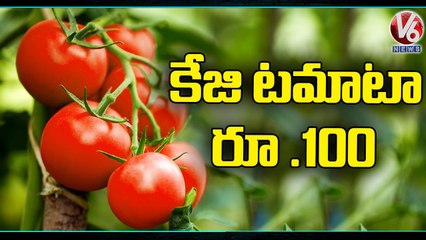 సెంచరీ కొట్టిన టమోటా ధర _ Tomato prices Hike In Adilabad _ Rs 100 Per kg _ V6 News