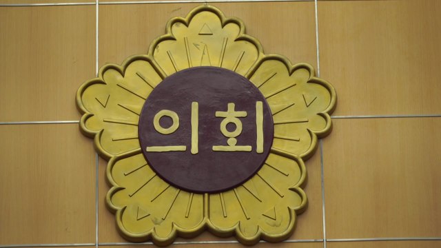 YTN 지방의회 징계·전과 전수조사...전과자 72% 공천 / YTN