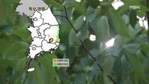 [프레스룸 날씨] 오늘 산뜻한 봄 날씨…주말 다시 여름 더위