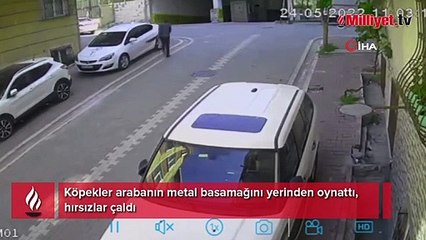 Köpekler arabanın metal basamağını yerinden oynattı, hırsızlar çaldı