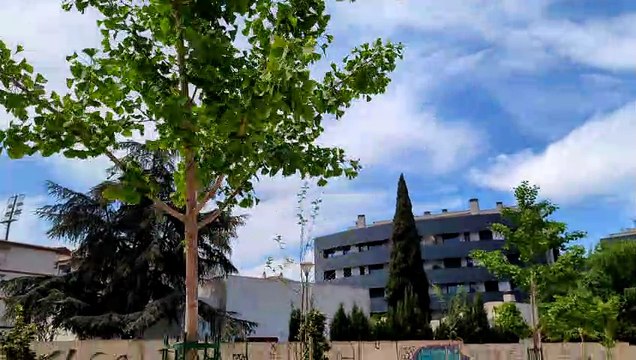 Google Pixel 6 Pro 4K día