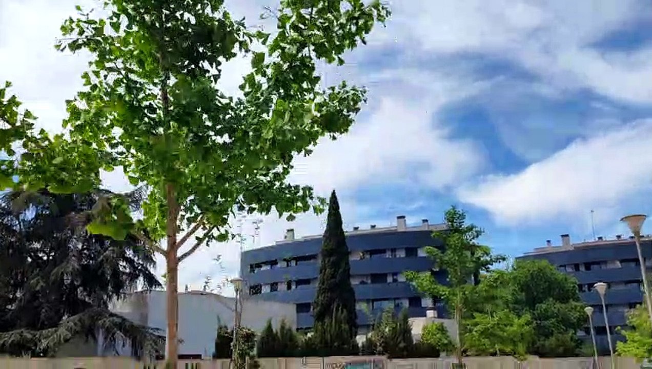 Huawei P50 Pro 4K día