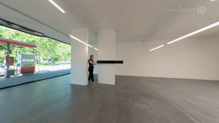 Sarah Oppenheimer: N-02 / von Bartha, Basel