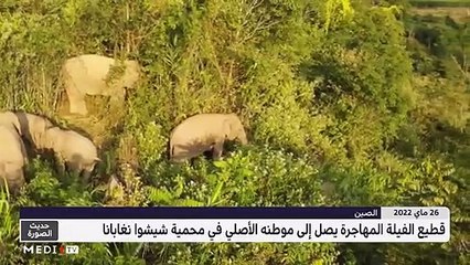 حديث الصورة - 27/05/2022