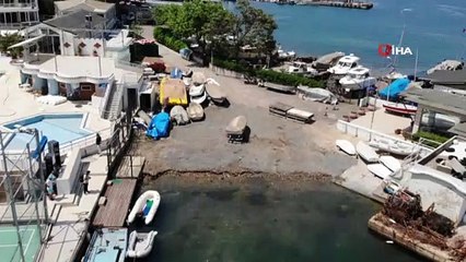 Burgazada'da neler oluyor: Gece yatarken denizdi, sabah kara oldu