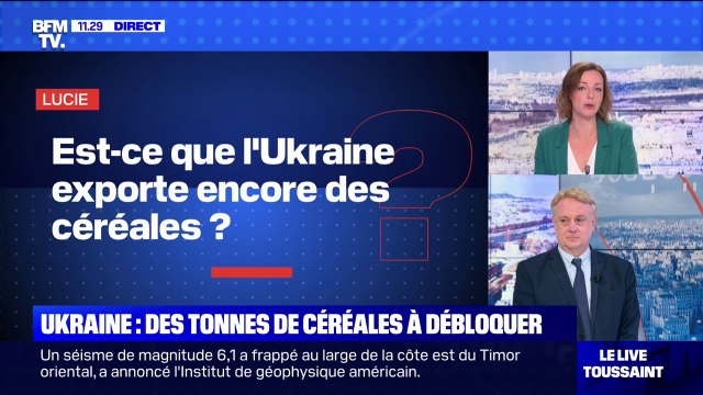BFMTV répond à vos questions: est-ce que l'Ukraine exporte encore des céréales ?