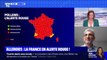 Que faire en cas d'allergie ? BFMTV répond à vos questions