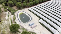 El Parque Nacional español de Doñana enfrenta a defensores climáticos y a agricultores