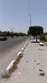 عاجل.. مصرع 7 أشخاص في اشتعال النيران بسيارتين على طريق الإسماعيلية الصحراوي