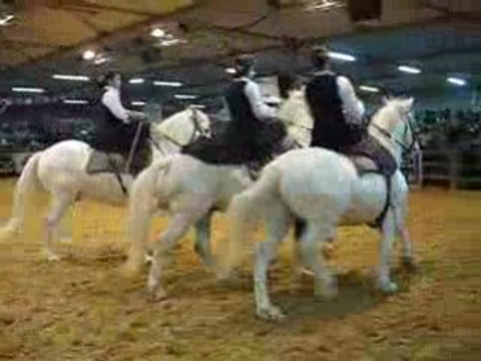 AMAZONES CAMARGUE