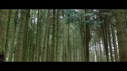 Willow Disney+ Official Teaser Trailer