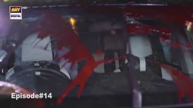 Neeli Zinda Hai Episode 14