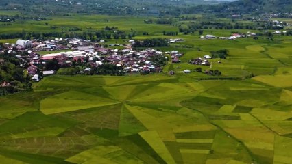 Cinta Bukan Sandiwara - Dian Piesesha (Piano Instrumental by Sukarno Syahrir)