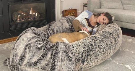 Grâce à ce panier géant, vous pourrez faire la sieste avec votre chien
