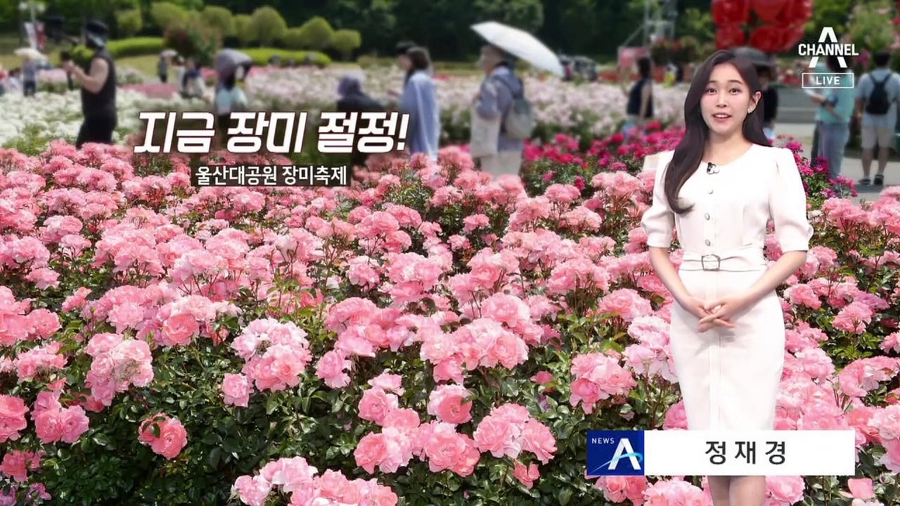 [날씨]다시 초여름 더위…서울 29도, 대구 33도