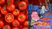 Tomato Price: Why Tomato Prices Are Increasing టమాటా ధరల పెరుగుదలకు కారణాలివే | Telugu Oneindia