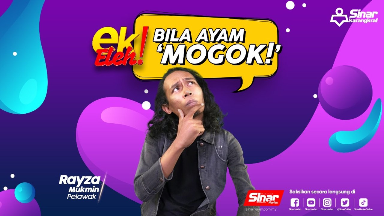 Bila ayam 'mogok'!