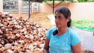 யாழ்ப்பாணத்தில் சந்தித்த உழைக்கும் பெண்கள் _ Jaffna Sri Lanka _ Rj Chandru Vlogs