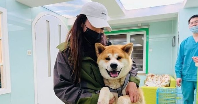 Chine : une association sauve la vie d'un chien promis à la boucherie