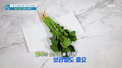 열무 줄기의 신선도, 어떻게 알아볼까? (ft. 열무 보관법)
