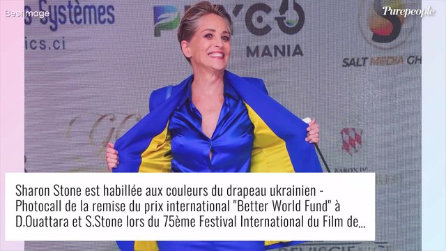 Sharon Stone, son caprice de diva : Infractions pénales, retard... Une vente aux enchères tourne au cauchemar !