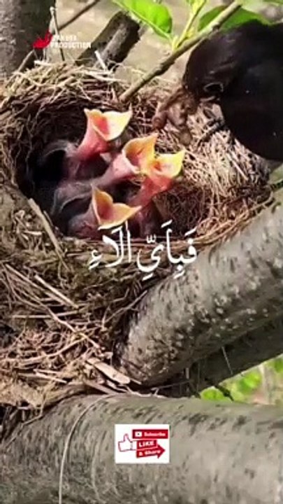Quran E Majeed Recitation In beautiful Voice - Quran E Kareem Tilawat Khubsurat Awaz Main #Shorts