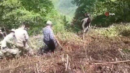 Arazide ot toplayan köylüler insan kafatası ve kemik buldu