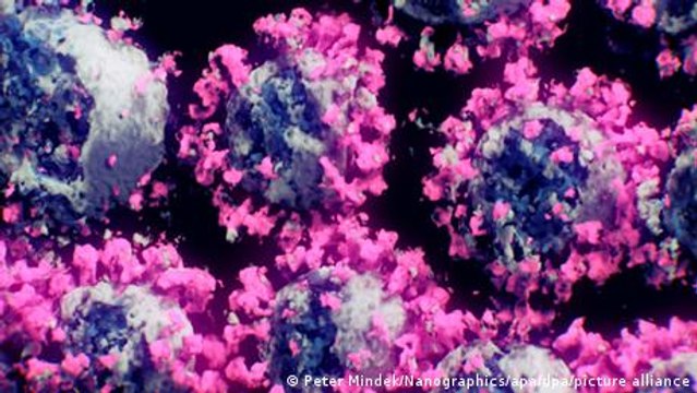 Coronavirus: Traces in wastewater