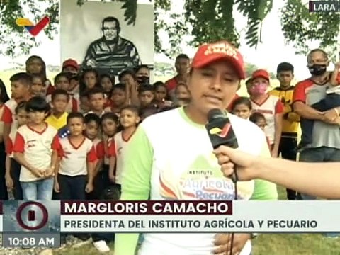 Lara | Plan Siembra Comunal 2022-2023 impulsa cosecha de 125 mil hectáreas de maíz
