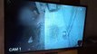 अपहरण और हाथ-पैर तोड़ने का वीडियो वायरल, सीसीटीवी में कैद हुई पूरी वारदात