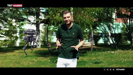 Belki şurada küçük tatlı bir "yapay zeka" vardır