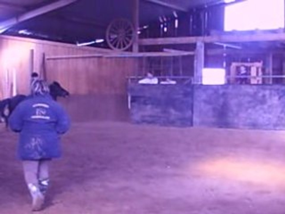 Enchainement, cour de saut 08/03/08