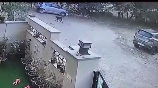 बच्चों के घर से निकलने पर लगा बैन, जयपुर के मानसरोवर में दहशत और डर का माहौल