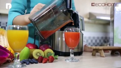 Ecohome Slow Juicer Blender Hits