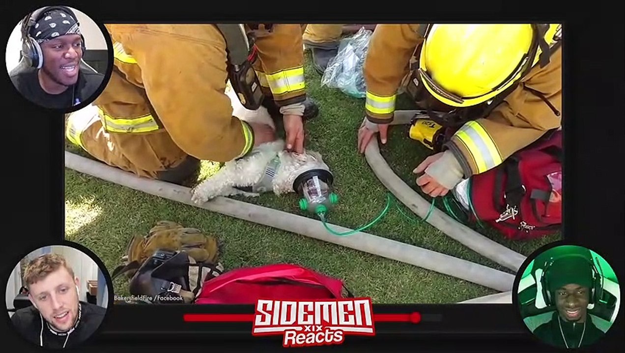 RANDOM ACTS OF KINDNESS TO RESTORE YOUR FAITH IN HUMANITY