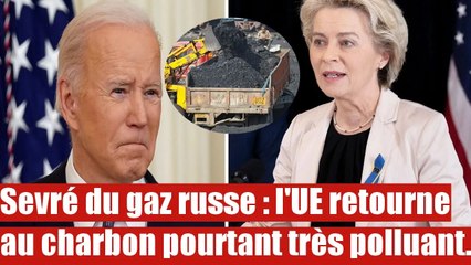 Sevré du gaz russe : l'UE retourne au charbon pourtant très polluant.