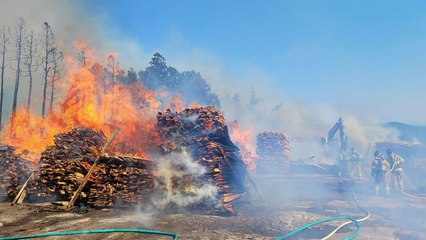 제주 서귀포 제재소에서 불...강풍에 한때 대응 1단계 발령 / YTN