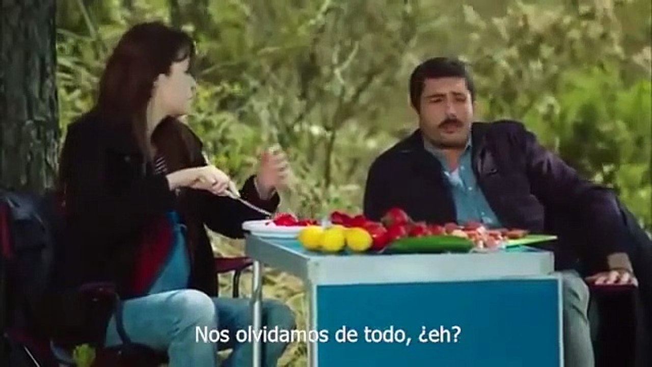 Asuntos del Corazón - capitulo 84 FINAL
