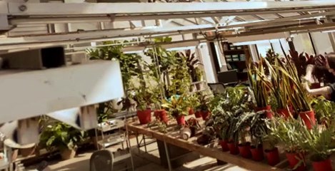 White Collar S05 E13