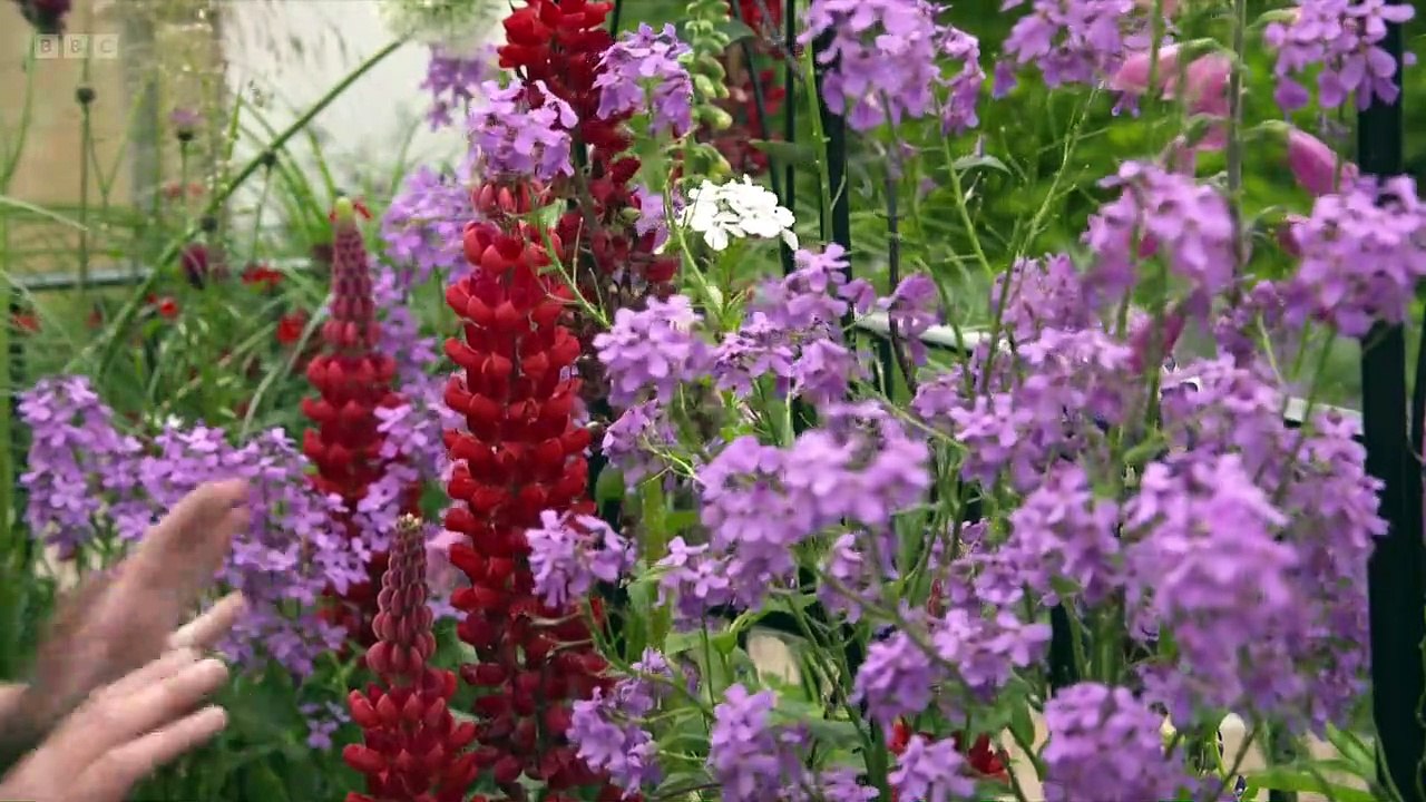 Chelsea Flower Show episode 11 2022