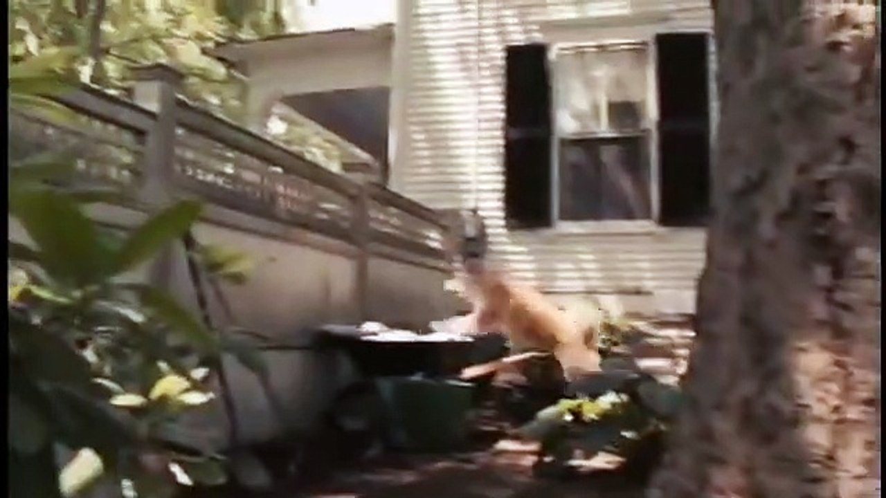 Hachi: A Dog's Tale (Hachiko: A Dog's Story) - Trailer