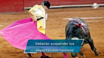 Juez suspende corridas de toros en la Plaza México