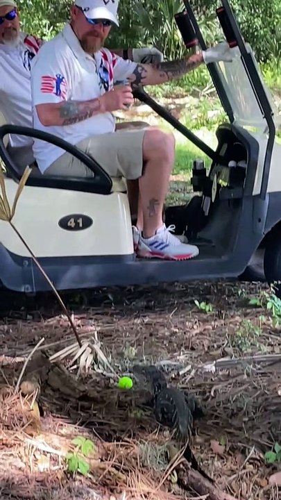 Golfing in Florida
