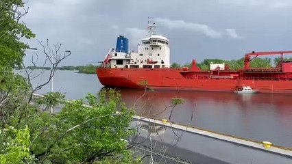 Navire (Gracieuseté)