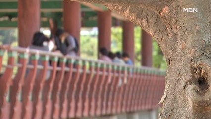 낮 최고 33도 초여름 더위…나들이객 '북적'