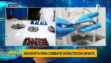 Presentan concentrado altamente proteico a base de anchoveta que combate la desnutrición infantil
