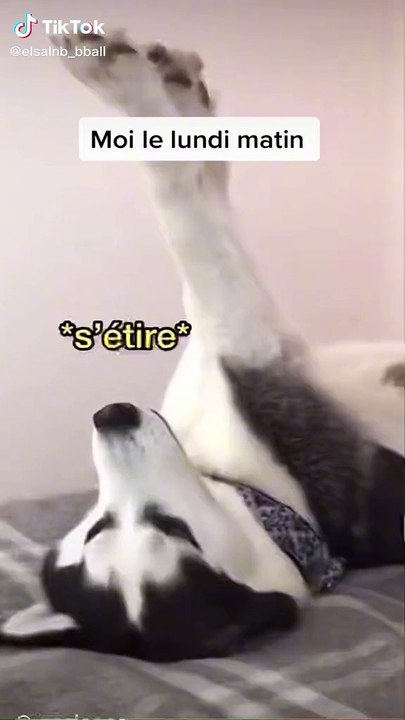 C est dur lundi matin